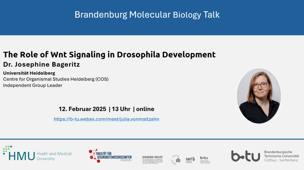 Banner BMB Talk mit Dr. Bageritz